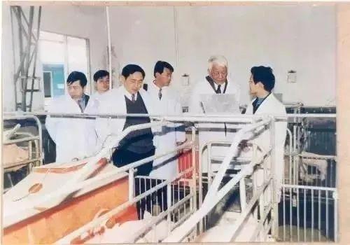 我在大学“喂牛”又“养猪” 我在大学“喂牛”又“养猪”