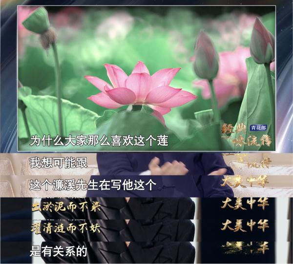 他用119字在世人心间种下一株“出淤泥而不染”的莲花