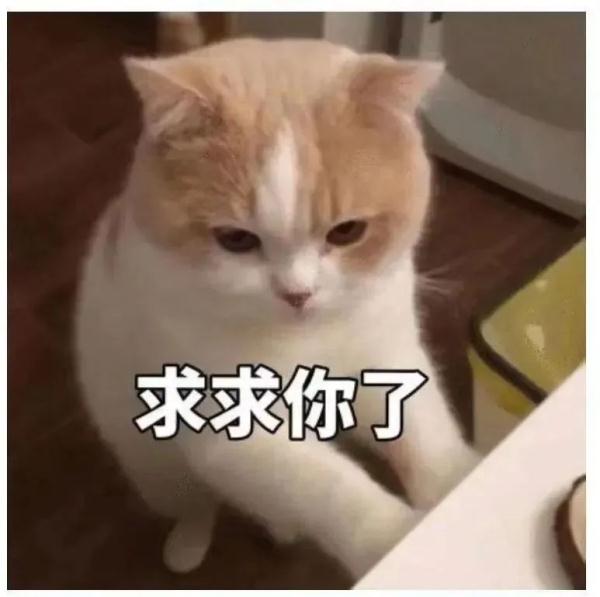 我在大学“喂牛”又“养猪” 我在大学“喂牛”又“养猪”