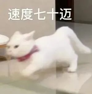 我在大学“喂牛”又“养猪” 我在大学“喂牛”又“养猪”