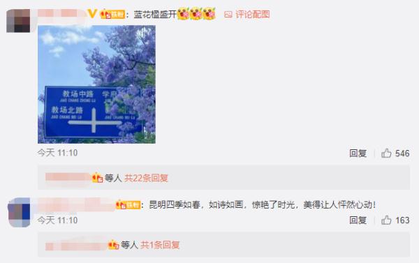 赵立坚点赞的云南这片花海有多美,一起来看 赵立坚点赞的云南这片花海有多美,一起来看