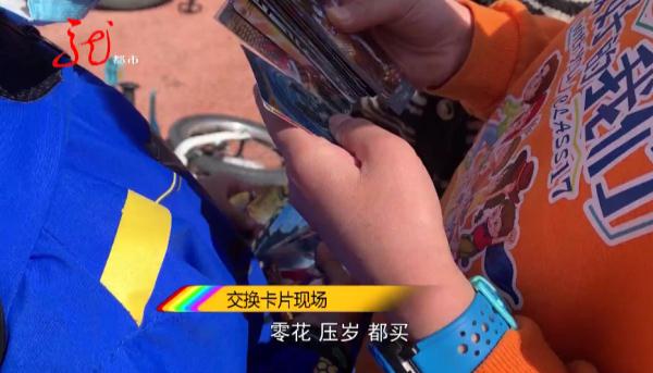 你家娃为它“烧钱”了吗？哈尔滨8岁男孩花2000元买回一沓！