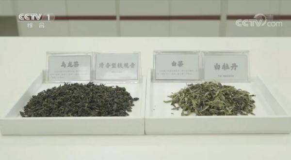 喝春茶喽！品茶的讲究您了解多少？快来get泡茶小知识→