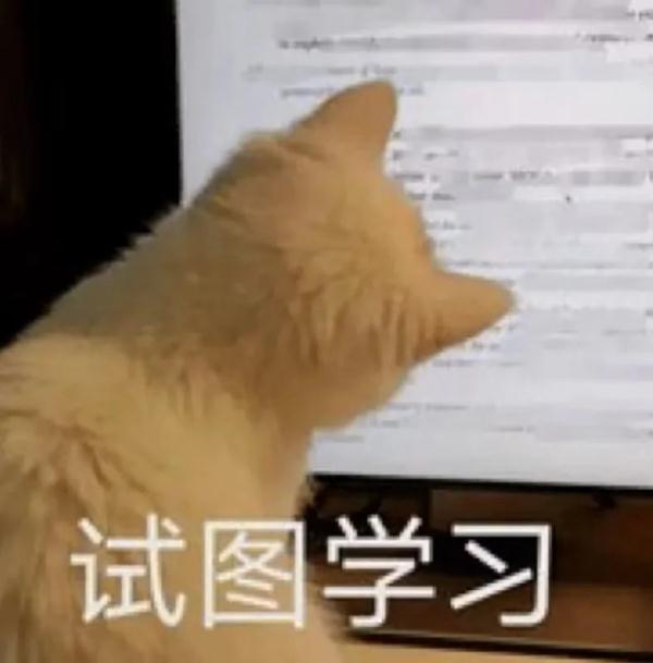 我在大学“喂牛”又“养猪” 我在大学“喂牛”又“养猪”