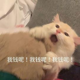 平替，就是要大大方方“穷”！
