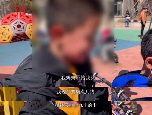 你家娃为它“烧钱”了吗？哈尔滨8岁男孩花2000元买回一沓！