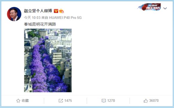 赵立坚点赞的云南这片花海有多美,一起来看 赵立坚点赞的云南这片花海有多美,一起来看