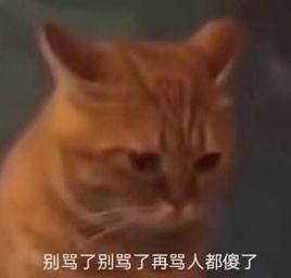 平替，就是要大大方方“穷”！