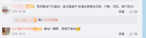 赵立坚点赞的云南这片花海有多美,一起来看 赵立坚点赞的云南这片花海有多美,一起来看