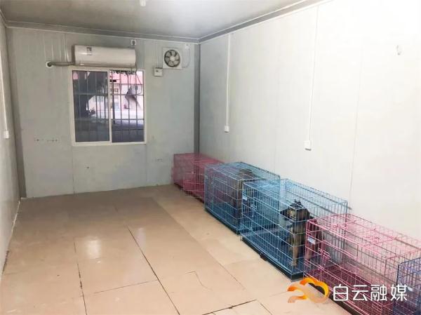 广州白云宠物临时安置点已启用，免费申请指引↓↓↓