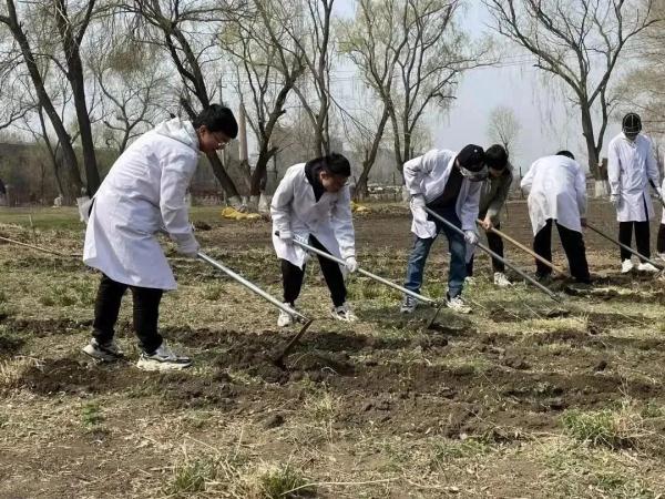 我在大学“喂牛”又“养猪” 我在大学“喂牛”又“养猪”