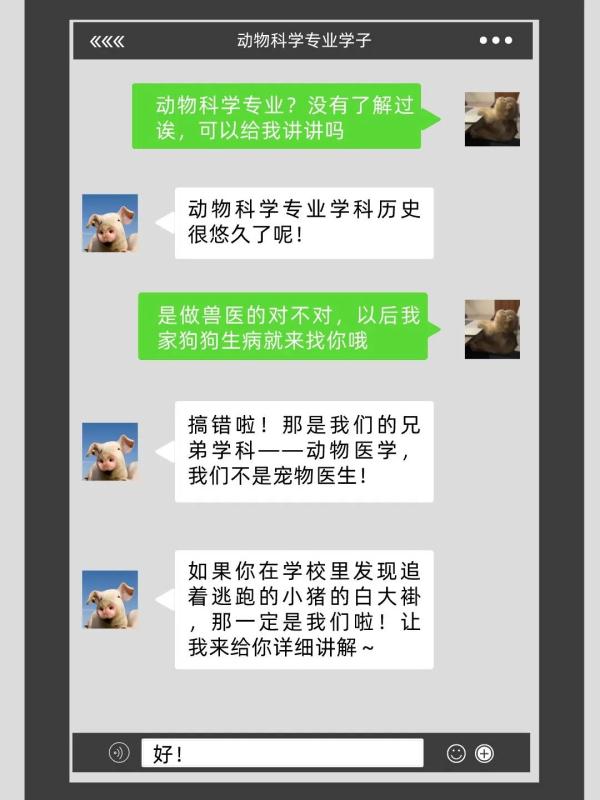 我在大学“喂牛”又“养猪” 我在大学“喂牛”又“养猪”