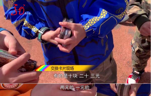 你家娃为它“烧钱”了吗？哈尔滨8岁男孩花2000元买回一沓！