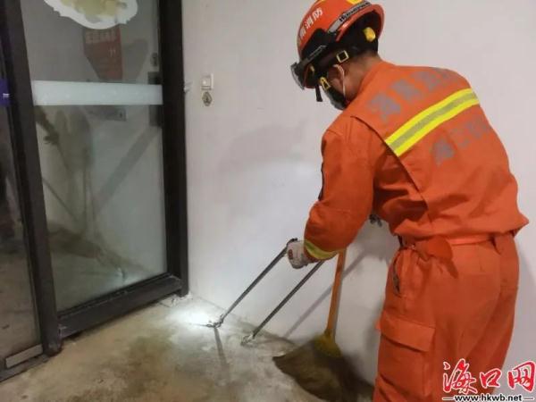 注意！正值高发季！海口一小区地下车库蛇出没..…