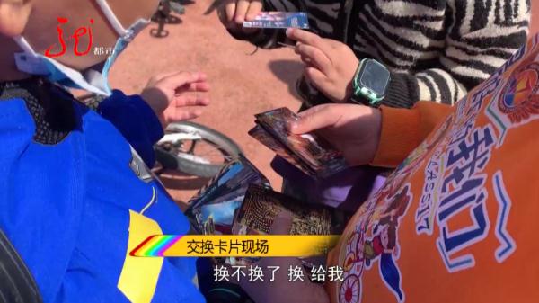 你家娃为它“烧钱”了吗？哈尔滨8岁男孩花2000元买回一沓！