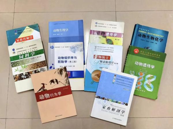 我在大学“喂牛”又“养猪” 我在大学“喂牛”又“养猪”