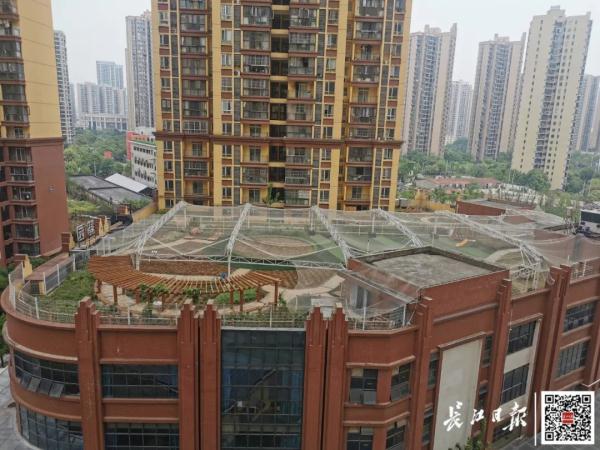 小区楼顶养孔雀,半夜吵得居民睡不着! 小区楼顶养孔雀,半夜吵得居民睡不着!