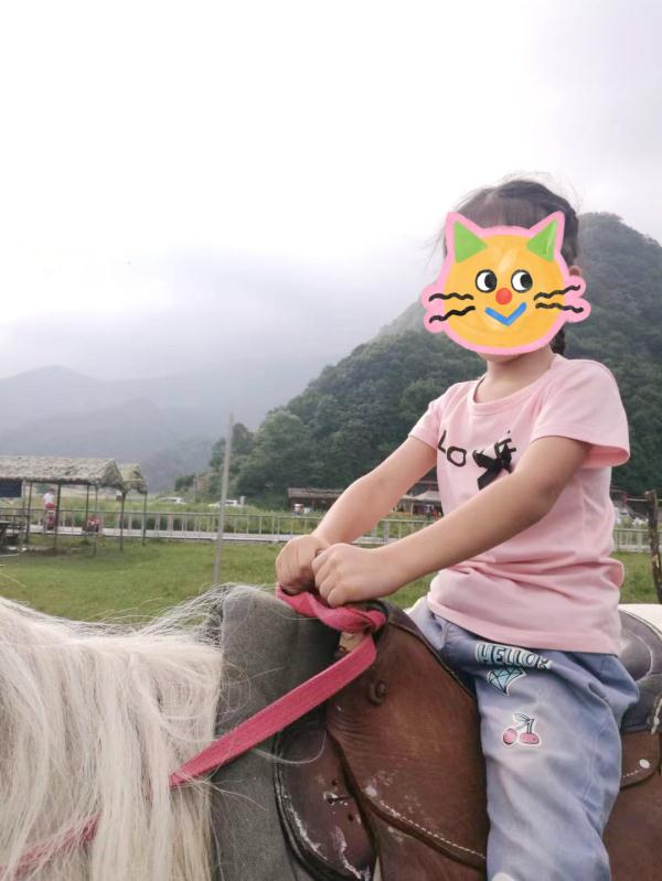 心疼!9岁女孩写下的100多个字,让人忍不住泪崩了…… 心疼!9岁女孩写下的100多个字,让人忍不住泪崩了……