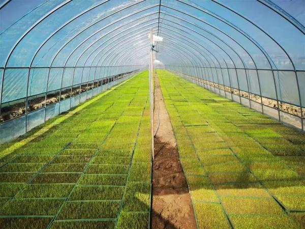 勿慌！合肥生活物资货足价稳！