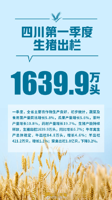 12739.24亿元!2022年第一季度四川GDP出炉 12739.24亿元!2022年第一季度四川GDP出炉