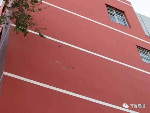 咚咚咚！家住15楼，却每天早上准时传来敲窗声，竟然是……