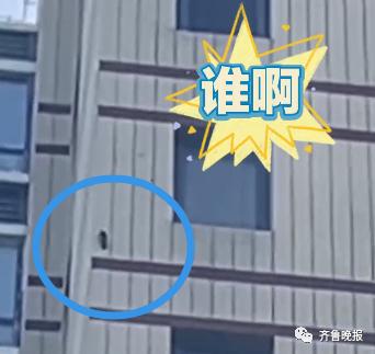 咚咚咚！家住15楼，却每天早上准时传来敲窗声，竟然是……