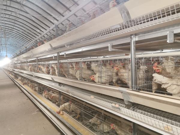 勿慌！合肥生活物资货足价稳！