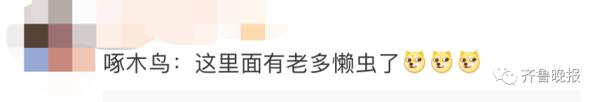 咚咚咚！家住15楼，却每天早上准时传来敲窗声，竟然是……