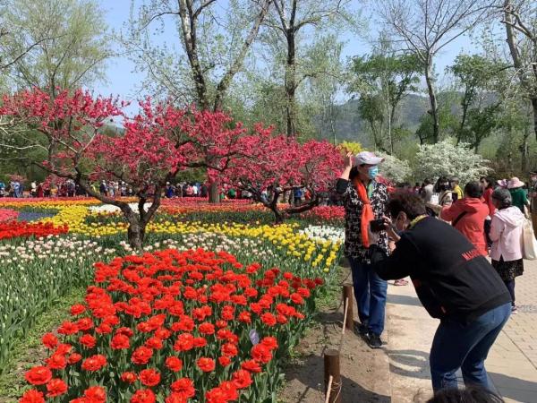国家植物园来啦！开放时段、购票方式都在这里