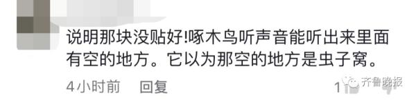 咚咚咚！家住15楼，却每天早上准时传来敲窗声，竟然是……