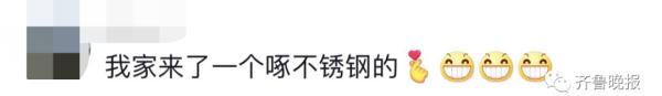 咚咚咚！家住15楼，却每天早上准时传来敲窗声，竟然是……