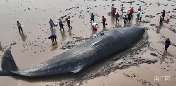 中国首次!21个小时“生死大营救”创造奇迹! 中国首次!21个小时“生死大营救”创造奇迹!