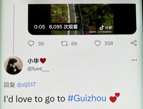 真美！赵立坚点赞贵州杜鹃花海