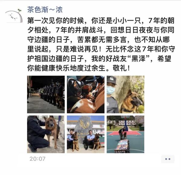警犬在它的退役现场做了一个动作，让人瞬间泪目……