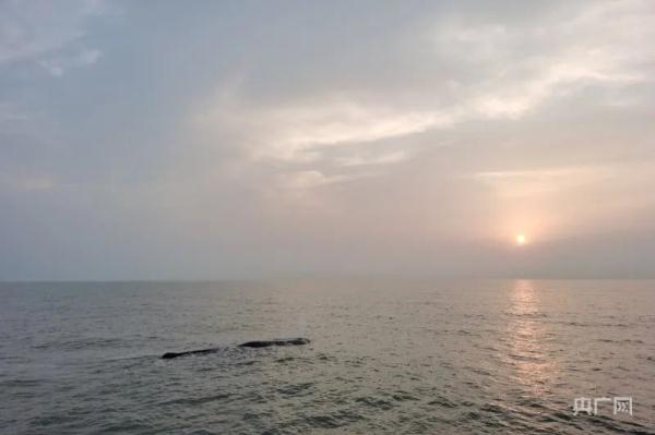 中国首次!21个小时“生死大营救”创造奇迹! 中国首次!21个小时“生死大营救”创造奇迹!