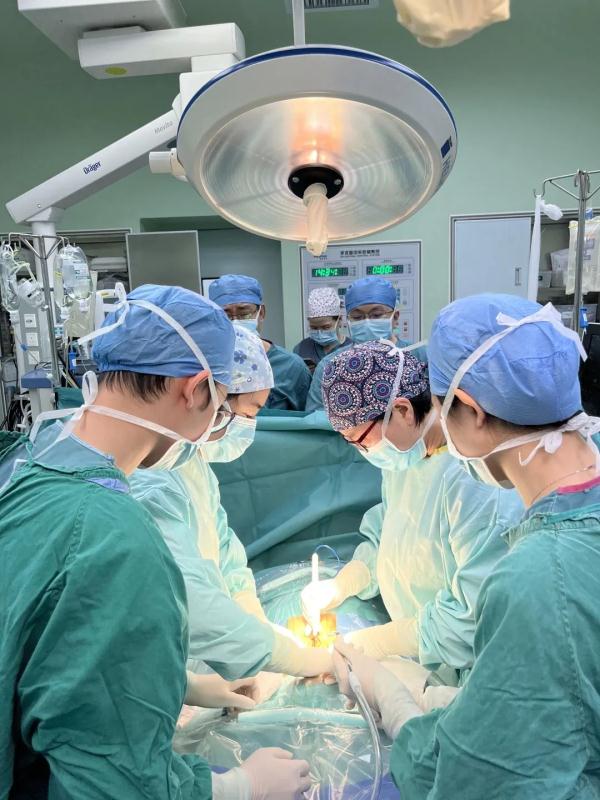 罕见!子宫肌瘤钻进心脏,多学科团队联手“拆弹” 罕见!子宫肌瘤钻进心脏,多学科团队联手“拆弹”