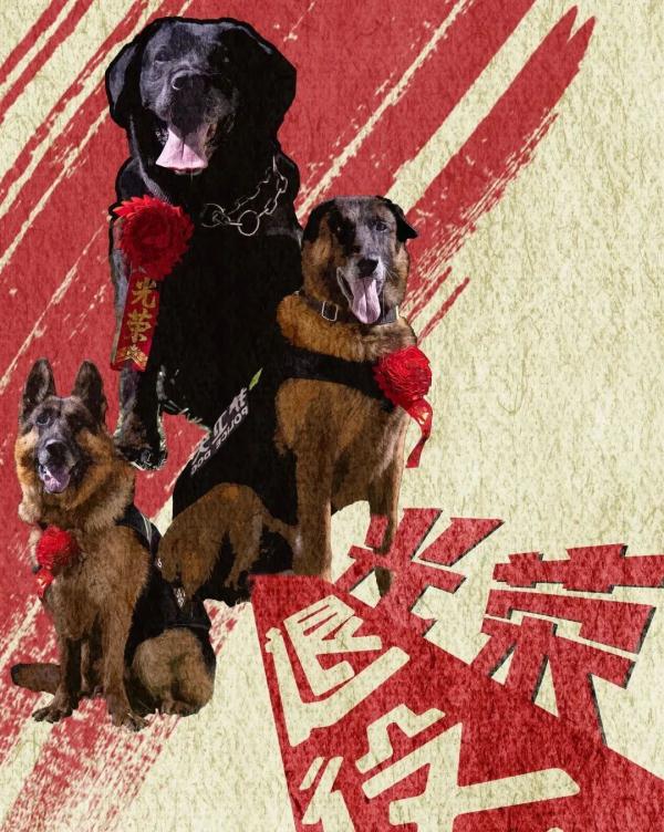警犬在它的退役现场做了一个动作，让人瞬间泪目……