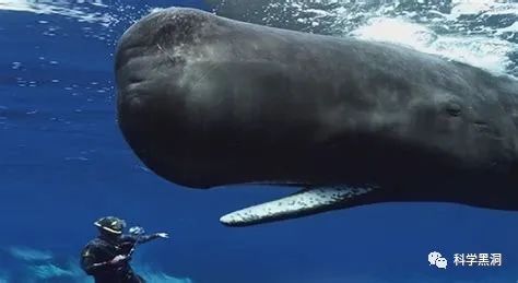 中国首次!21个小时“生死大营救”创造奇迹! 中国首次!21个小时“生死大营救”创造奇迹!