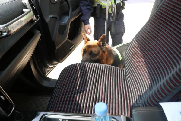 警犬在它的退役现场做了一个动作，让人瞬间泪目……