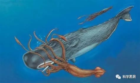 中国首次!21个小时“生死大营救”创造奇迹! 中国首次!21个小时“生死大营救”创造奇迹!