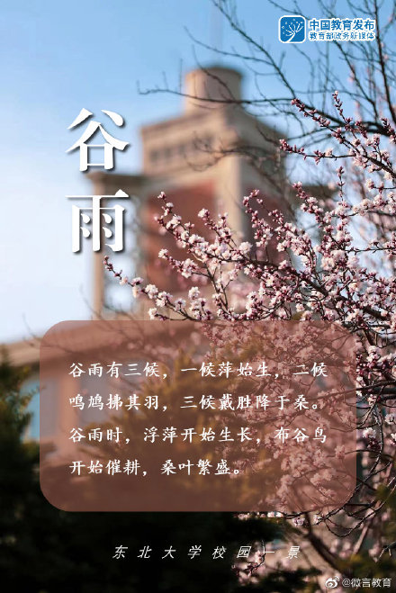 谷雨 | 雨生百谷，万物灵动