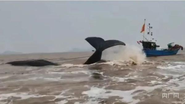 中国首次!21个小时“生死大营救”创造奇迹! 中国首次!21个小时“生死大营救”创造奇迹!