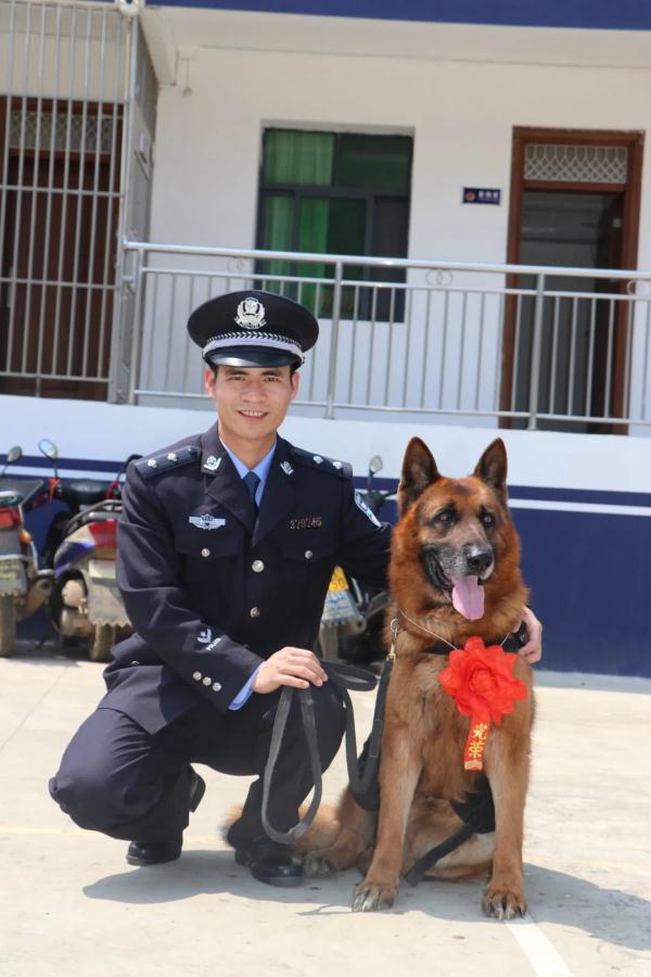 警犬在它的退役现场做了一个动作，让人瞬间泪目……