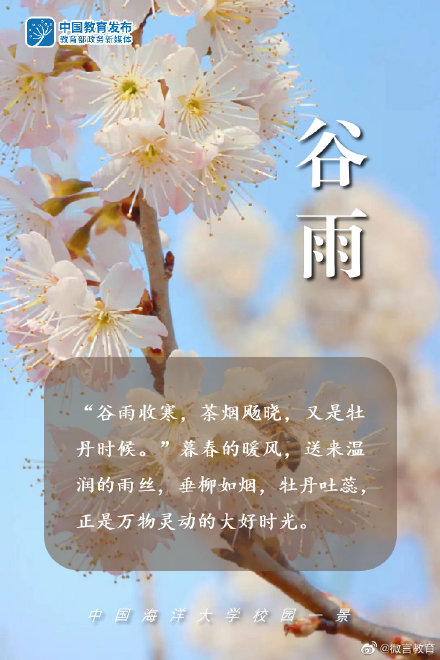 谷雨 | 雨生百谷，万物灵动