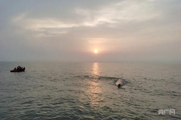 中国首次!21个小时“生死大营救”创造奇迹! 中国首次!21个小时“生死大营救”创造奇迹!