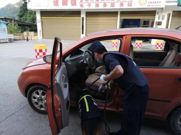 警犬在它的退役现场做了一个动作，让人瞬间泪目……