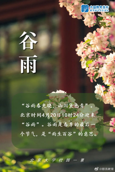 谷雨 | 雨生百谷，万物灵动