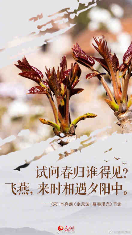 春渐远夏将至，一起来感受古诗词里的谷雨