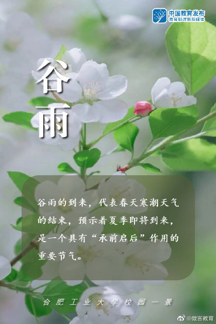 谷雨 | 雨生百谷，万物灵动
