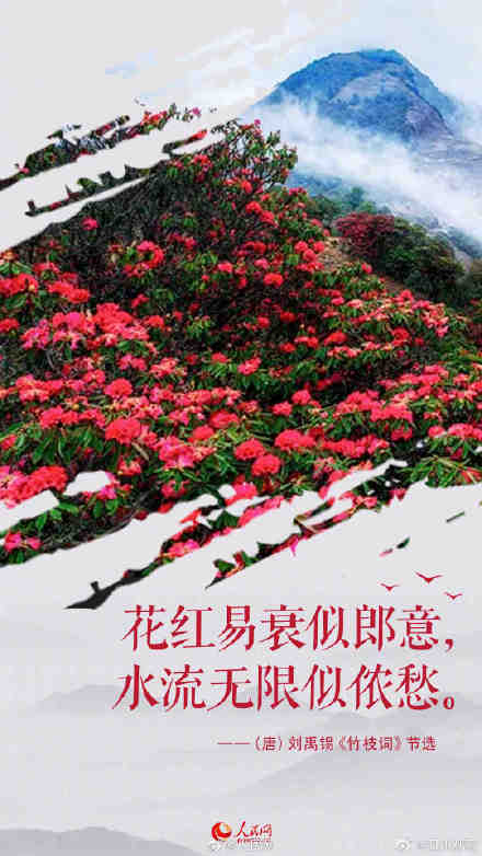 春渐远夏将至，一起来感受古诗词里的谷雨